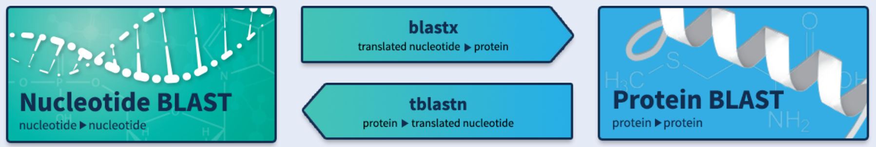 Types of BLAST available in NCBI-BLAST Web Service